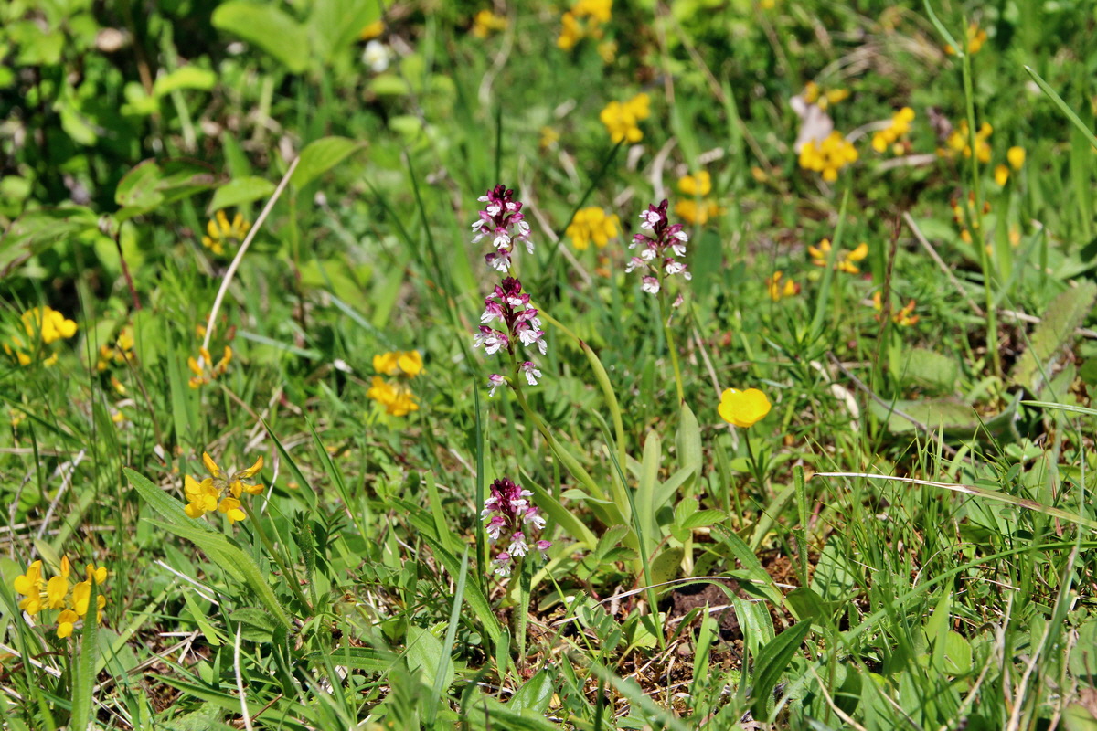 2014_05_03_00041855p_Bildgr��e �ndern