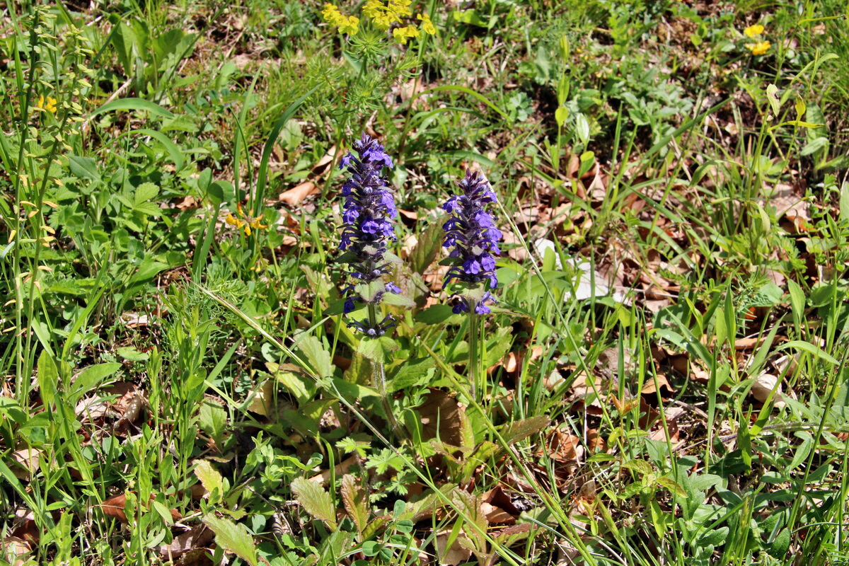 2014_05_03_00041865p_Bildgr��e �ndern