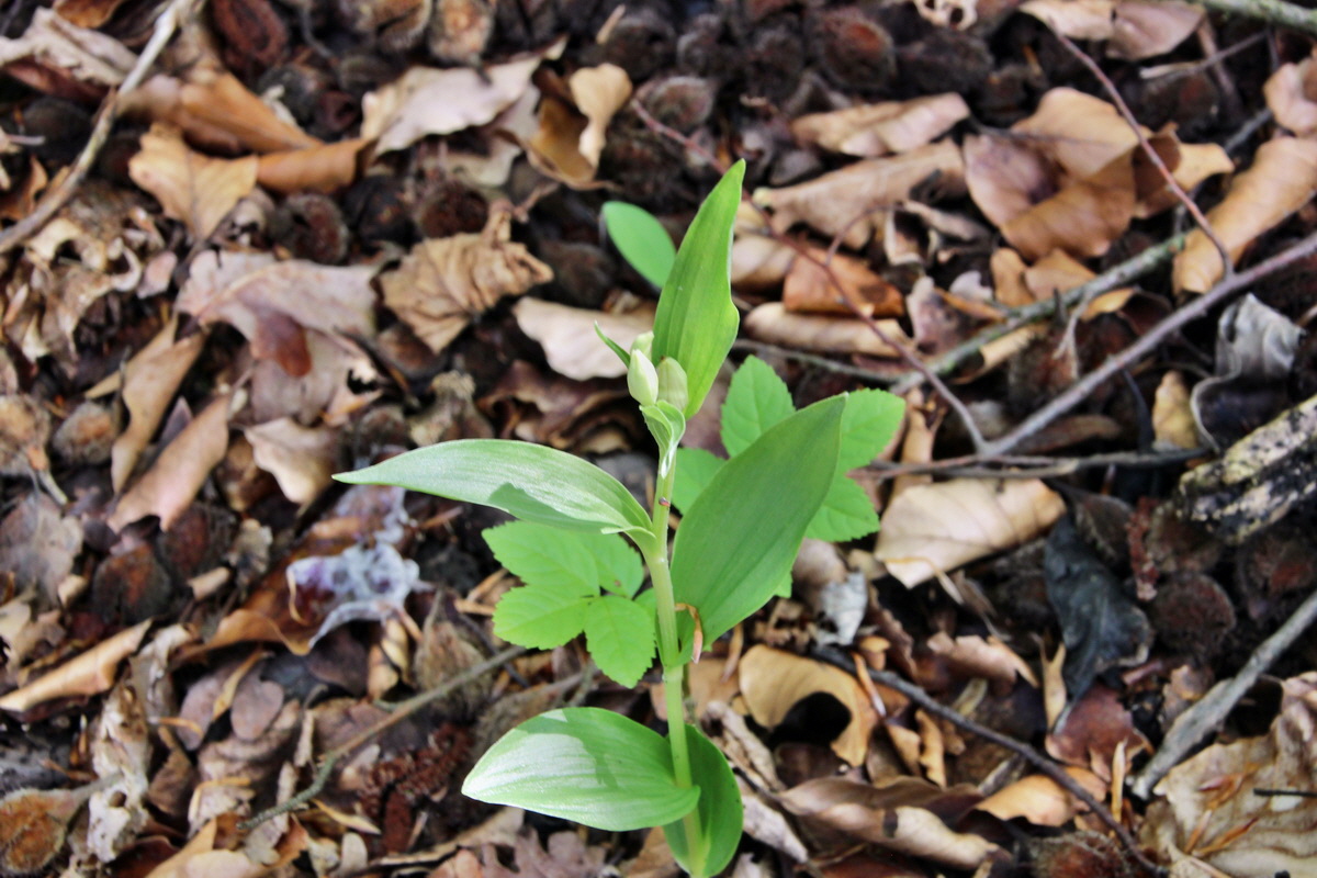 2014_05_03_00041870p_Bildgr��e �ndern