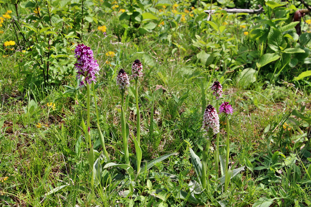 2014_05_03_00041885p_Bildgr��e �ndern