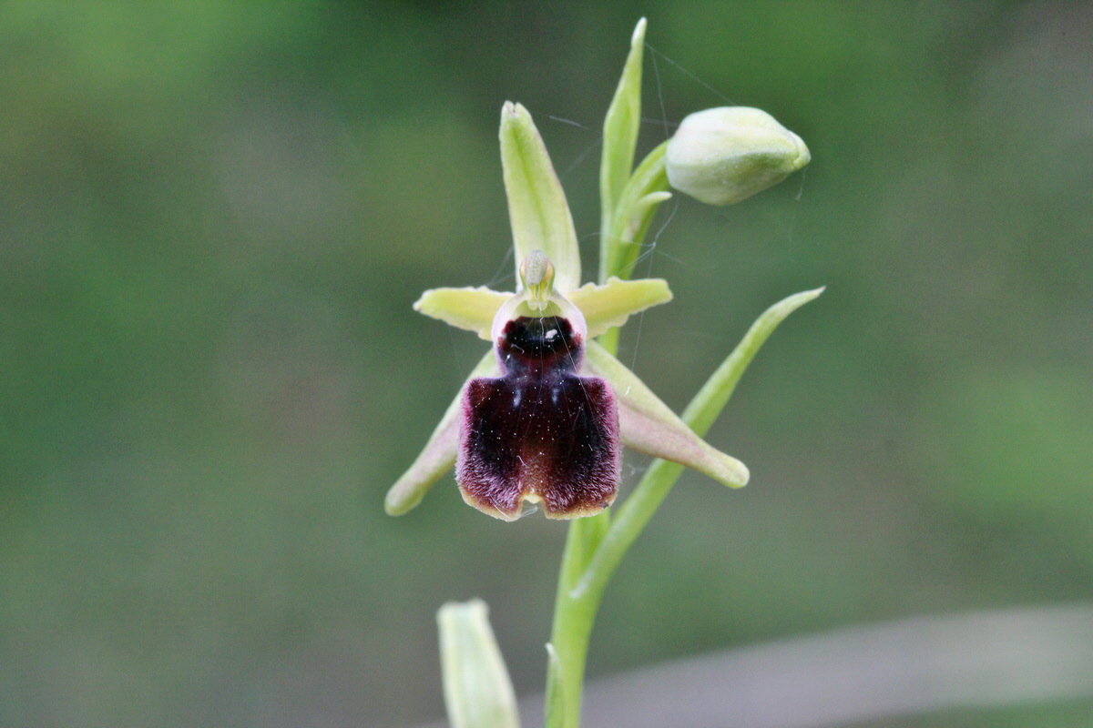 2014_05_03_00041889p_Bildgr��e �ndern