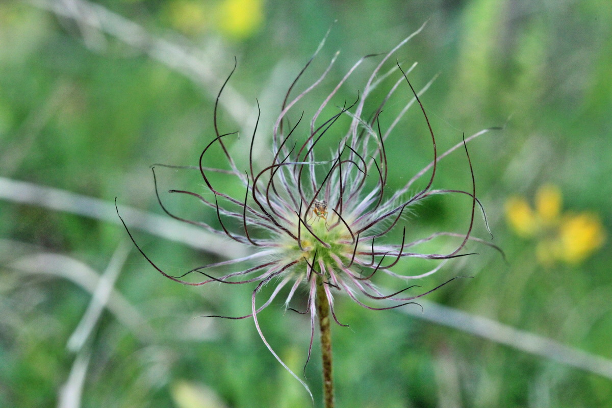 2014_05_03_00041897p_Bildgr��e �ndern