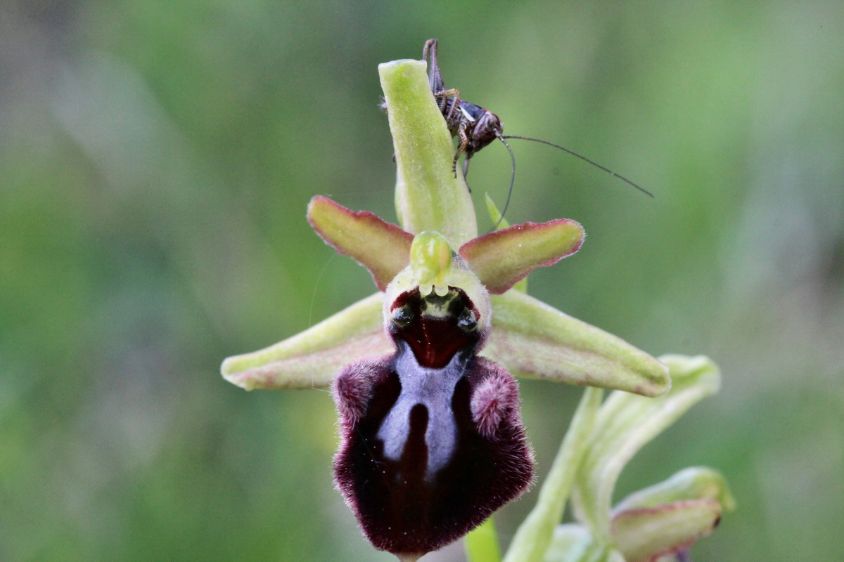 2014_05_03_00041900p_Bildgr��e �ndern