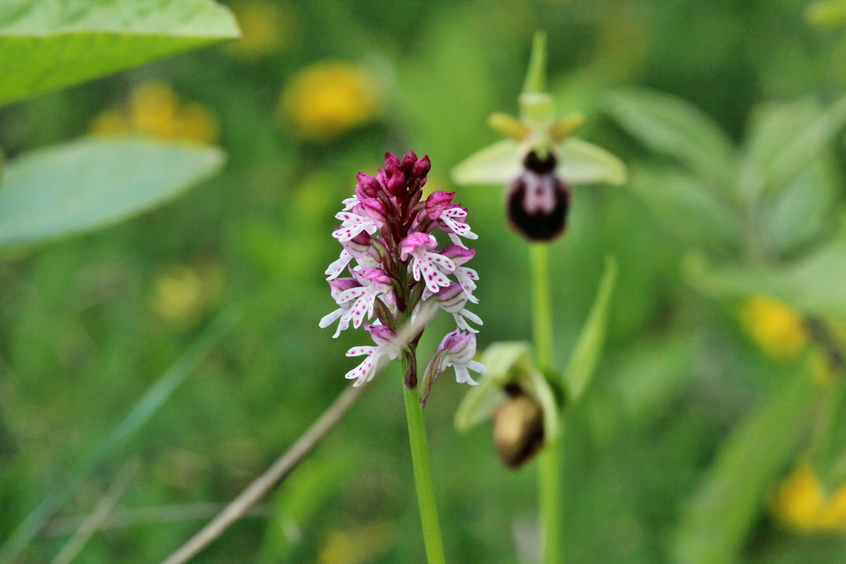 2014_05_03_00041906p_Bildgr��e �ndern