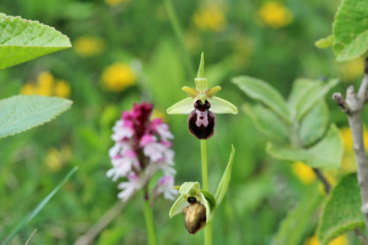 2014_05_03_00041910p_Bildgr��e �ndern