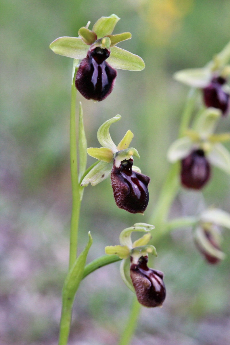 2014_05_03_00041912p_Bildgr��e �ndern