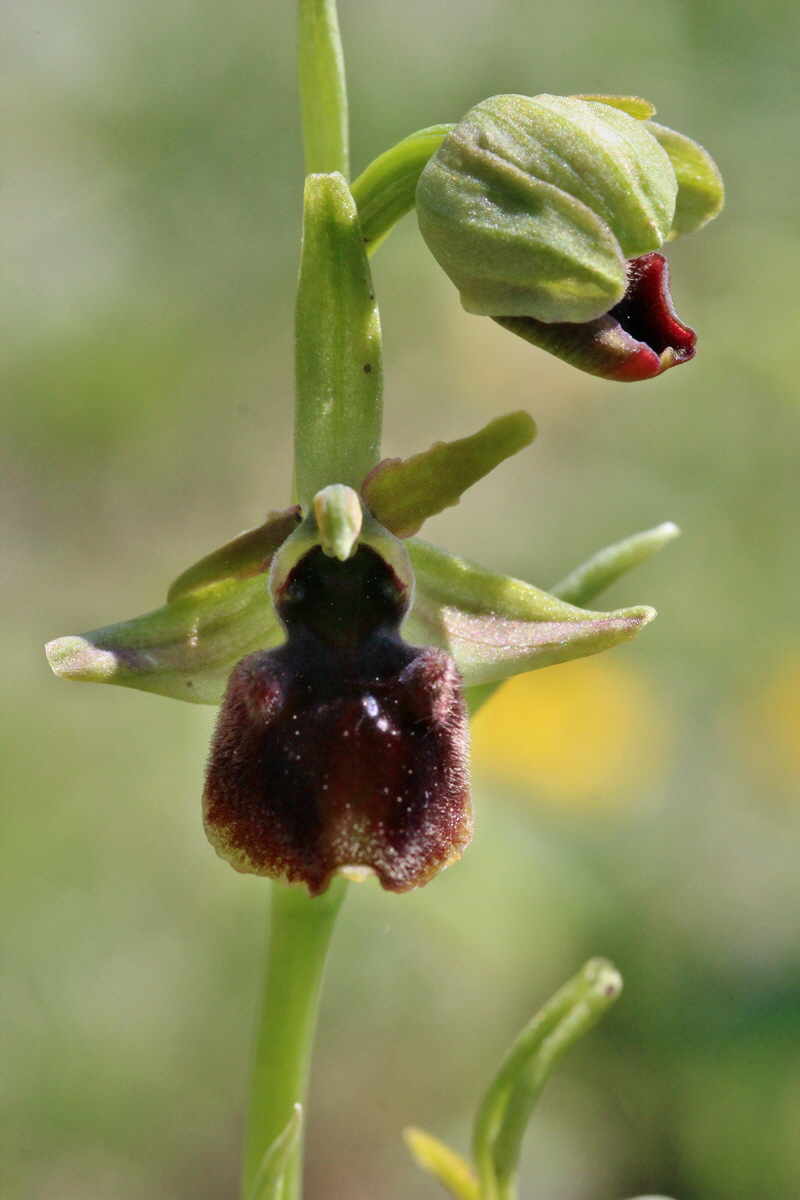 2014_05_03_00041916p_Bildgr��e �ndern