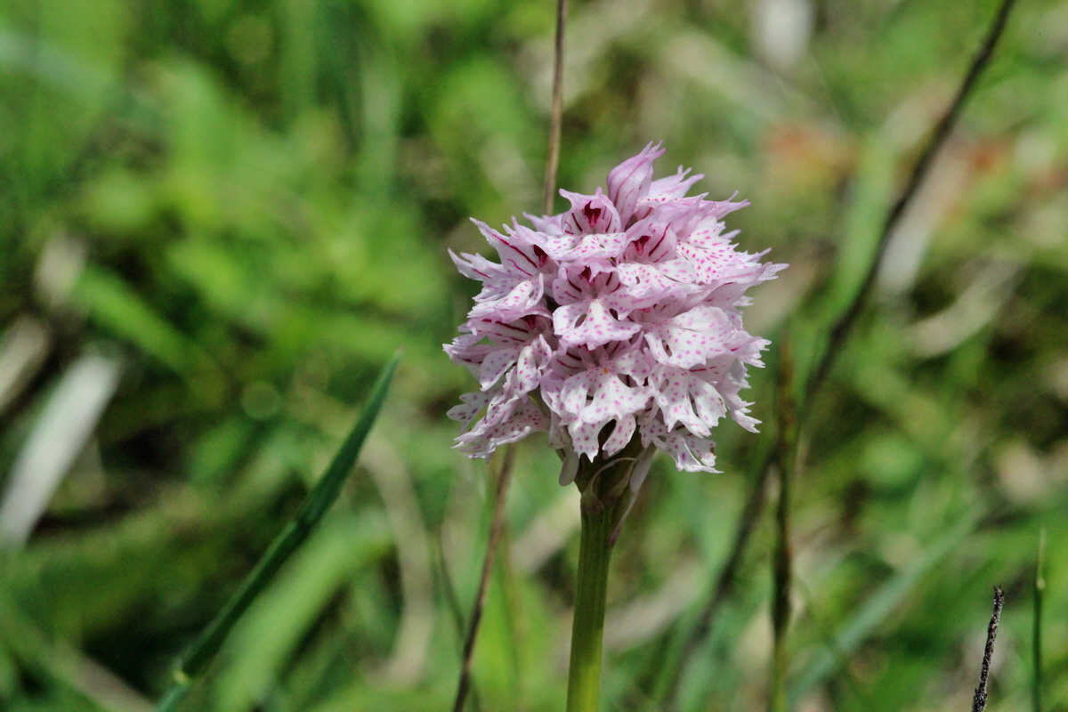 2014_05_03_00041919p_Bildgr��e �ndern