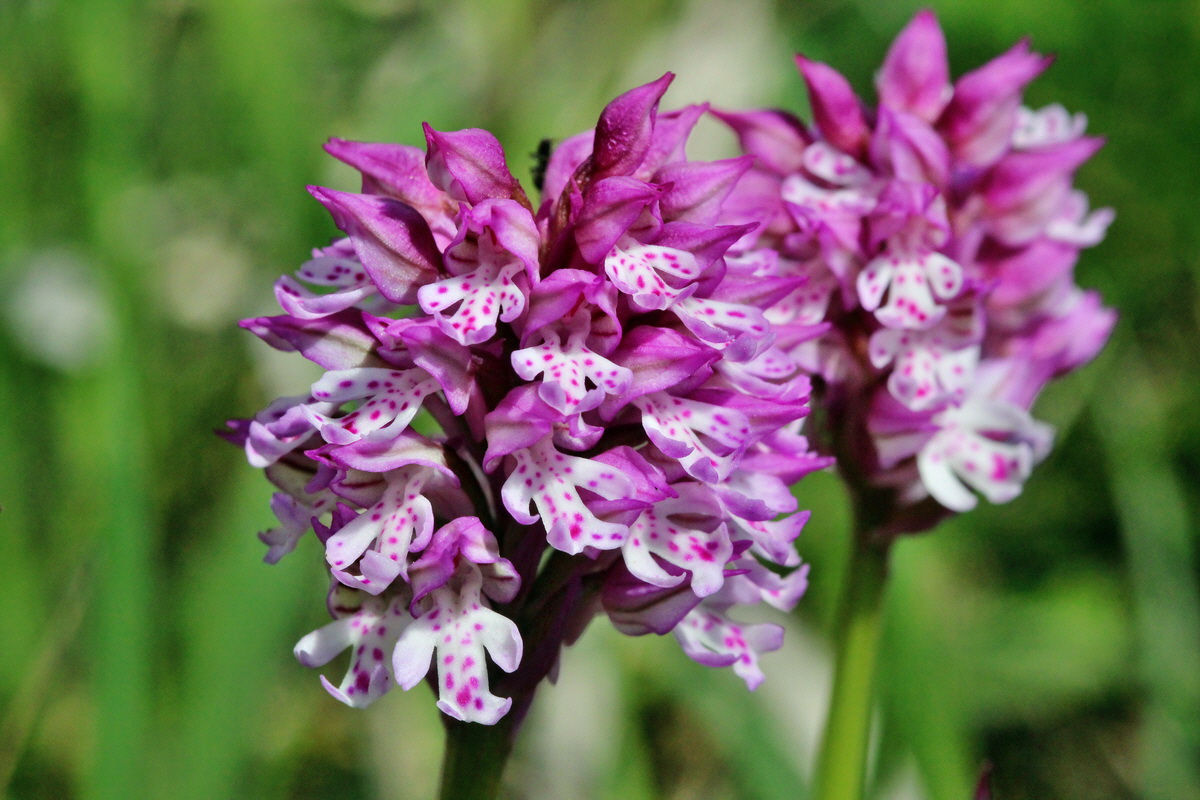 2014_05_03_00041920p_Bildgr��e �ndern