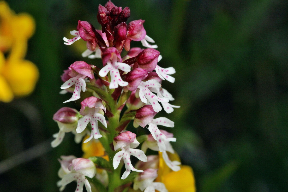 2014_05_03_00041925p_Bildgr��e �ndern