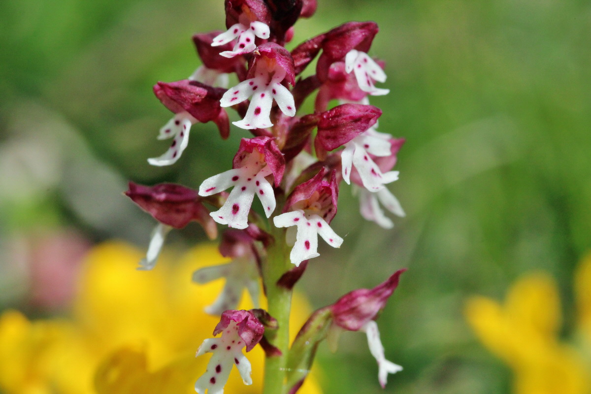 2014_05_03_00041929p_Bildgr��e �ndern