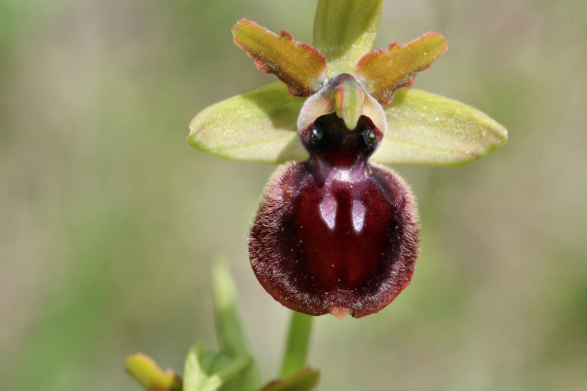 2014_05_03_00041939p_Bildgr��e �ndern