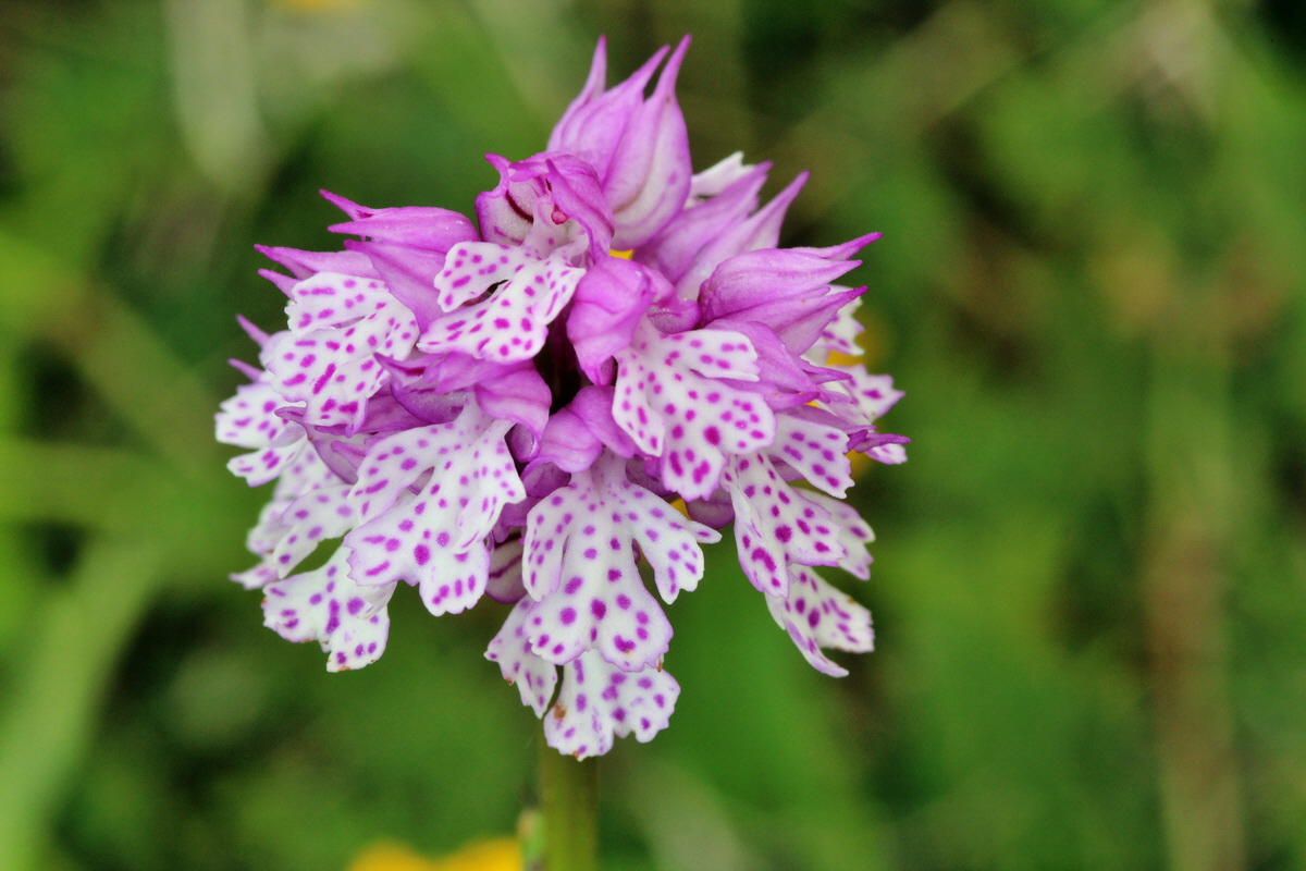 2014_05_03_00041967p_Bildgr��e �ndern