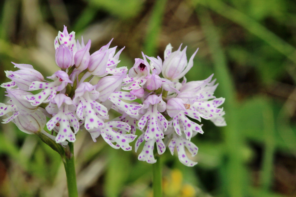 2014_05_03_00041973p_Bildgr��e �ndern