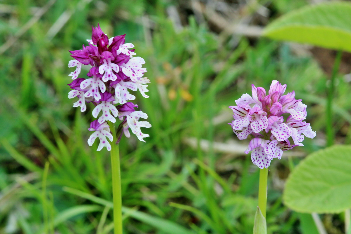 2014_05_03_00041977p_Bildgr��e �ndern