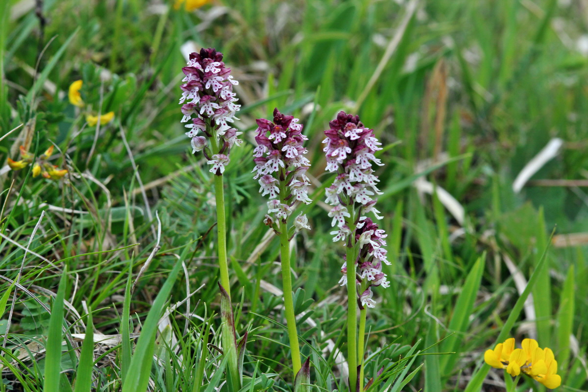 2014_05_03_00041981p_Bildgr��e �ndern