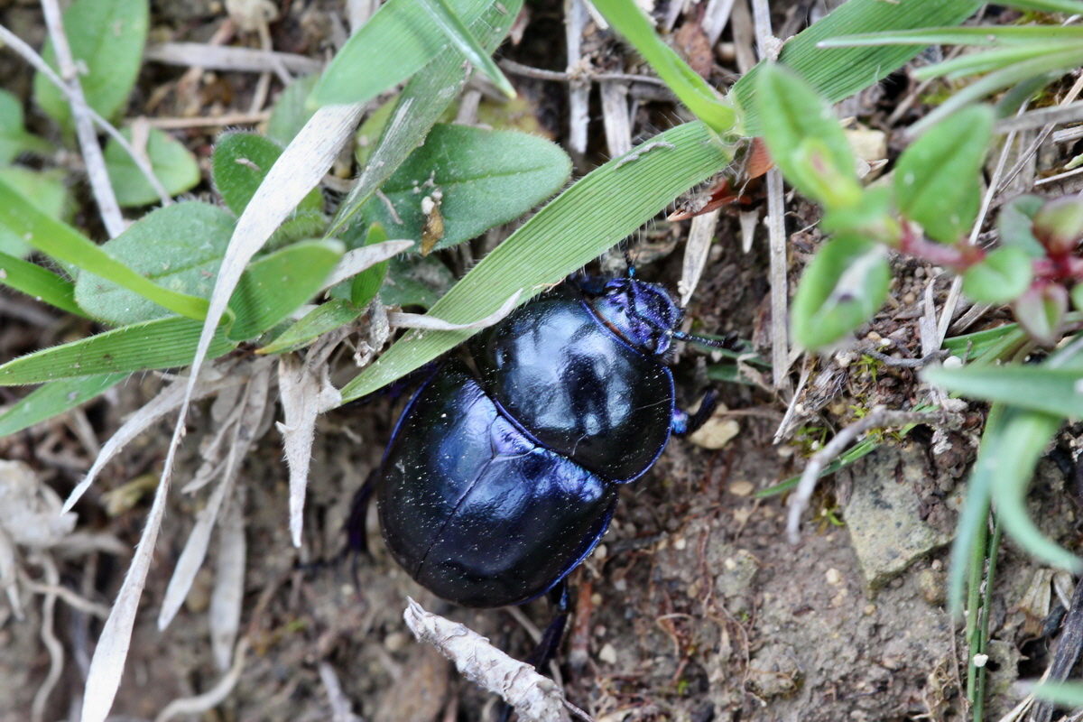 2014_05_03_00041997p_Bildgr��e �ndern