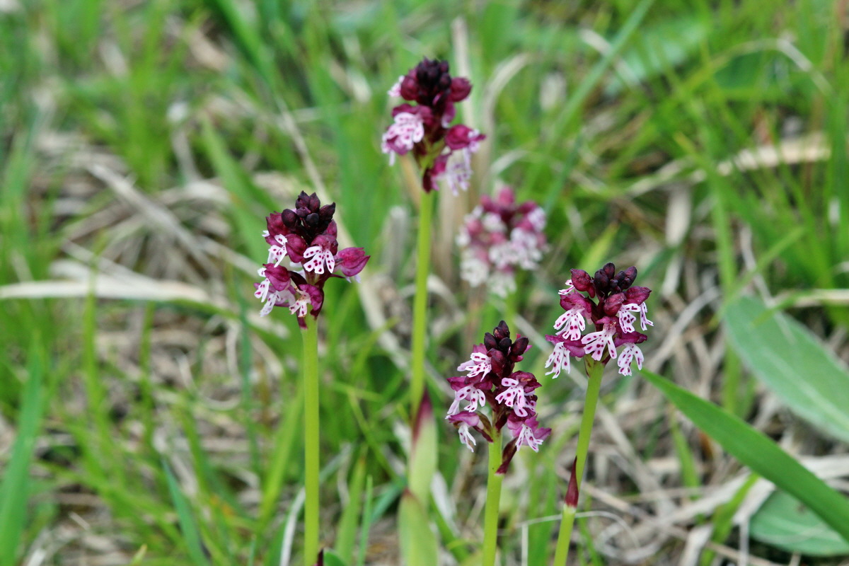 2014_05_03_00042008p_Bildgr��e �ndern