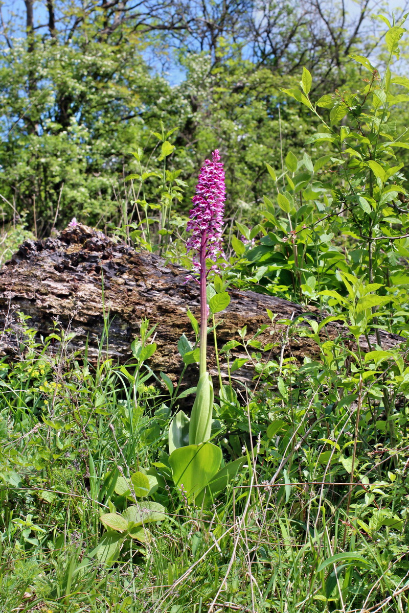 2014_05_03_00042024p_Bildgr��e �ndern