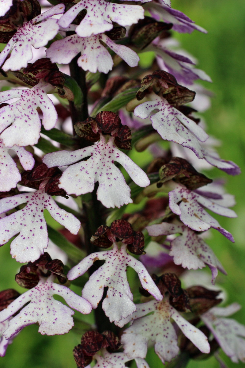 2014_05_03_00042035p_Bildgr��e �ndern