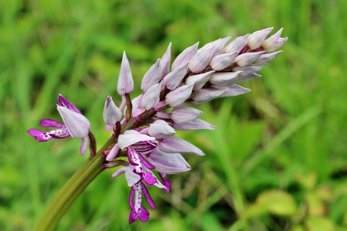 2014_05_03_00042040p_Bildgr��e �ndern