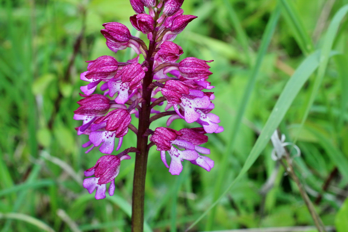 2014_05_03_00042045p_Bildgr��e �ndern