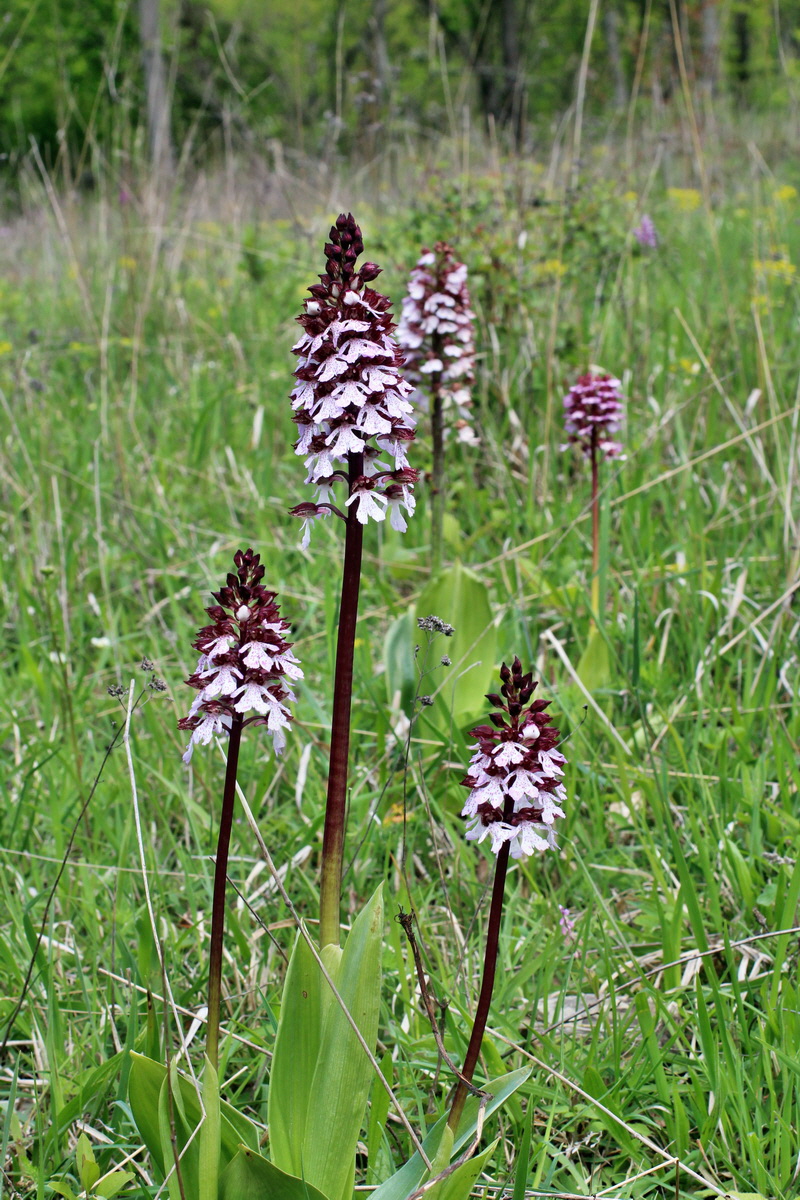 2014_05_03_00042049p_Bildgr��e �ndern