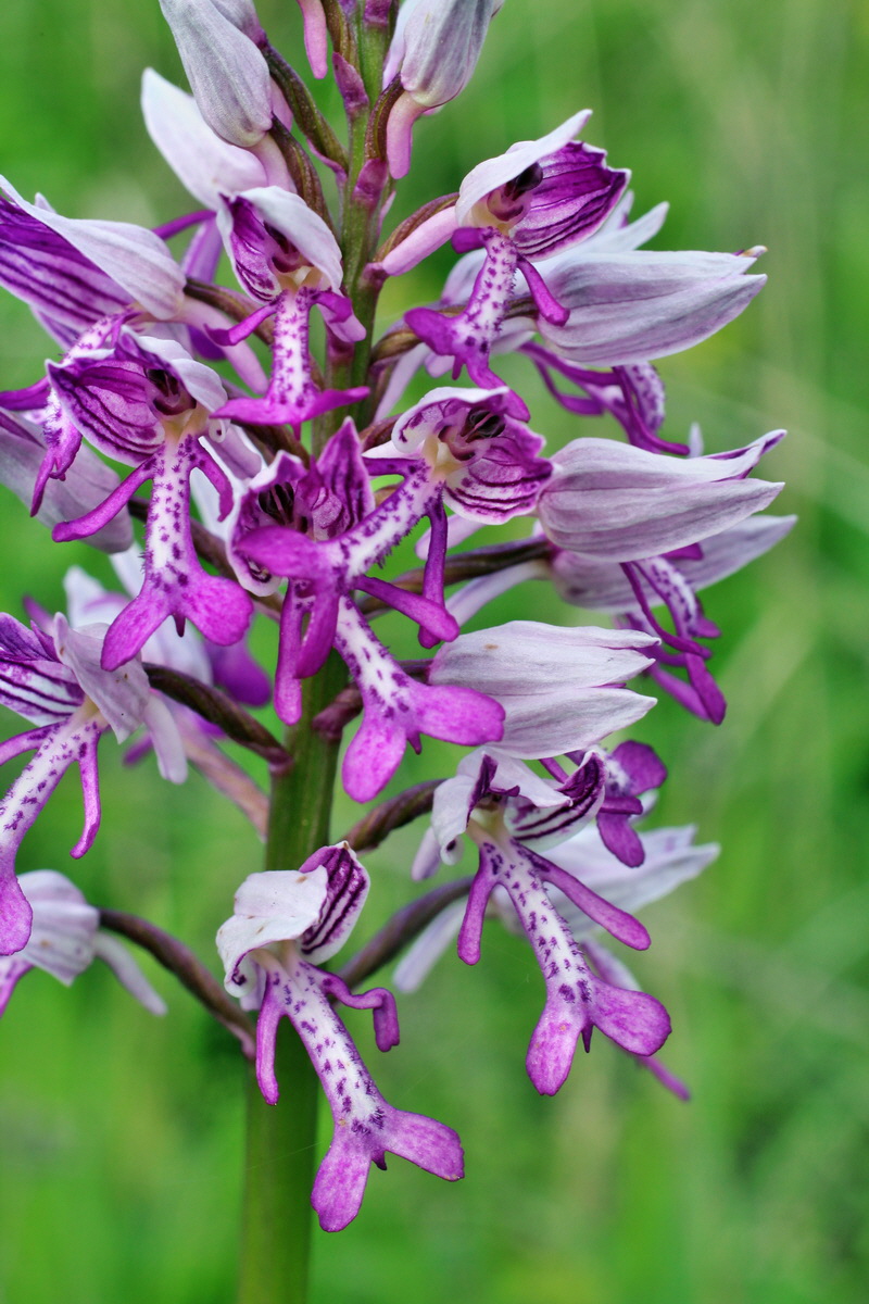 2014_05_03_00042084p_Bildgr��e �ndern