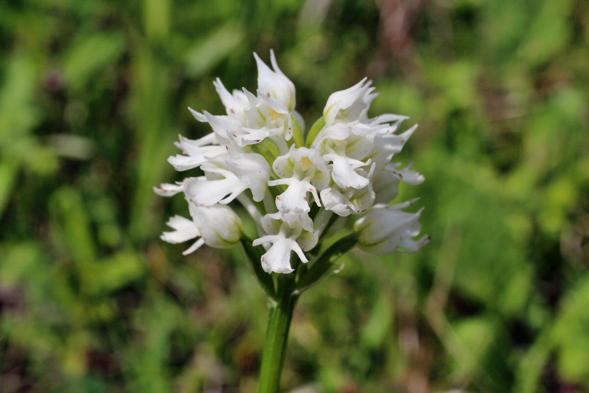 2014_05_03_00042088p_Bildgr��e �ndern