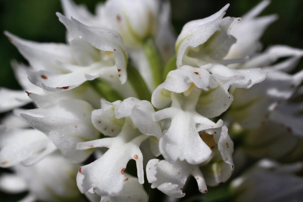 2014_05_03_00042093p_Bildgr��e �ndern