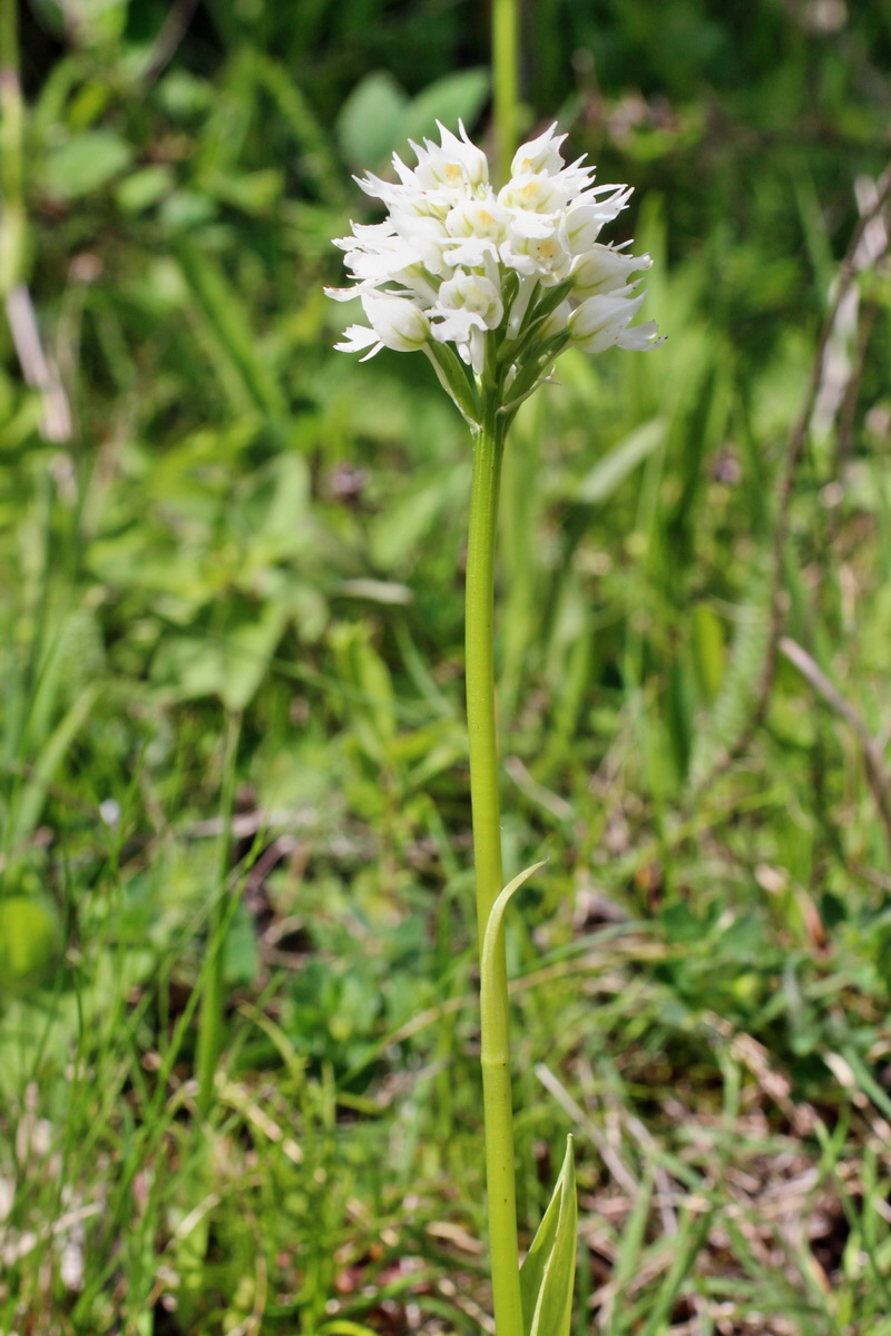 2014_05_03_00042103p_Bildgr��e �ndern