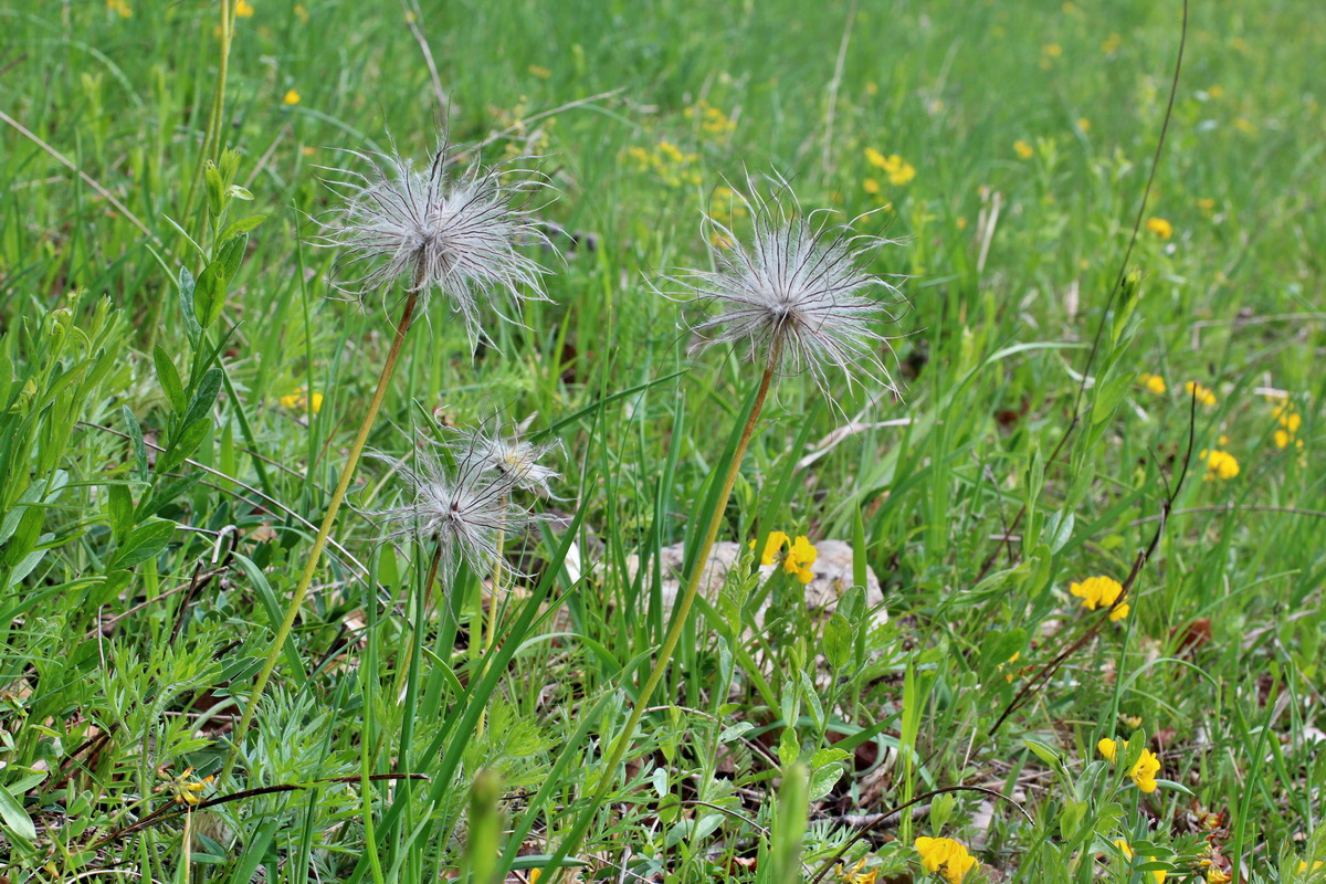 2014_05_03_00042106p_Bildgr��e �ndern