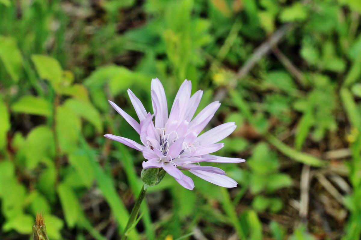 2014_05_03_00042110p_Bildgr��e �ndern