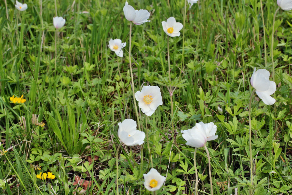 2014_05_03_00042113p_Bildgr��e �ndern