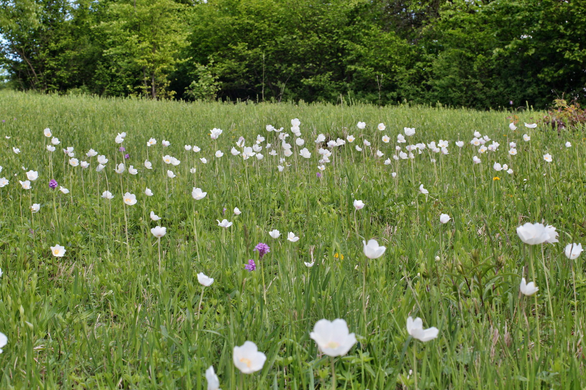 2014_05_03_00042116p_Bildgr��e �ndern