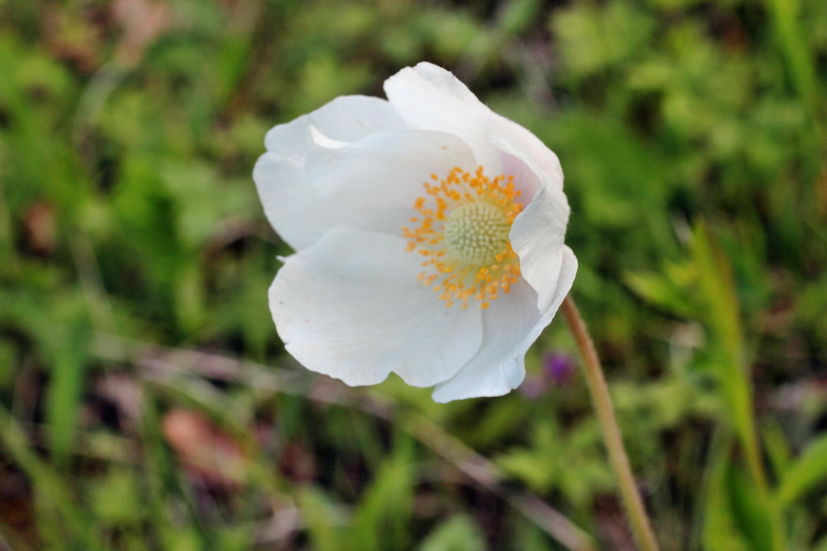 2014_05_03_00042121p_Bildgr��e �ndern