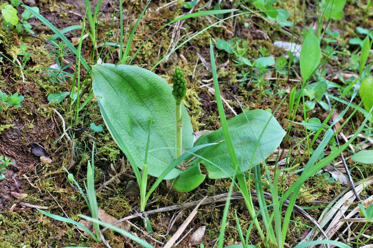 2014_05_03_00042125p_Bildgr��e �ndern