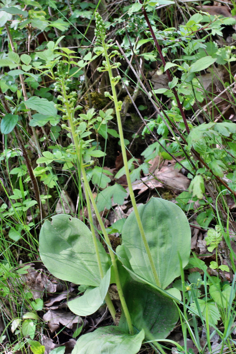 2014_05_03_00042135p_Bildgr��e �ndern