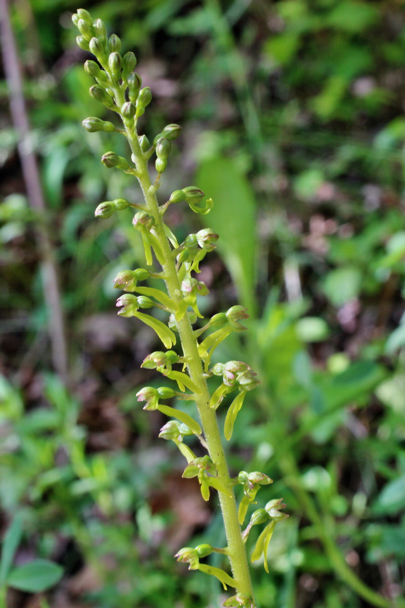 2014_05_03_00042138p_Bildgr��e �ndern