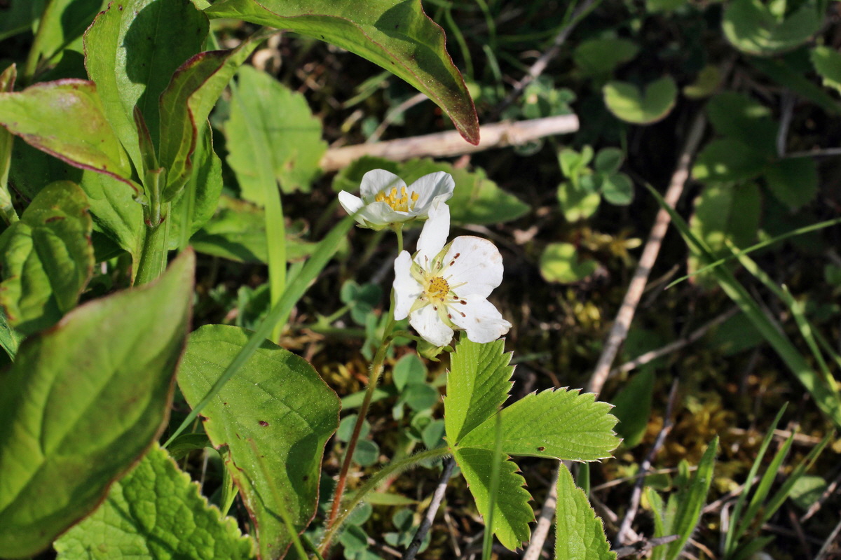 2014_05_05_00042149p_Bildgr��e �ndern