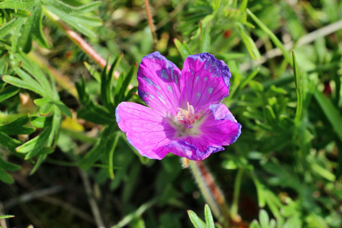 2014_05_05_00042151p_Bildgr��e �ndern