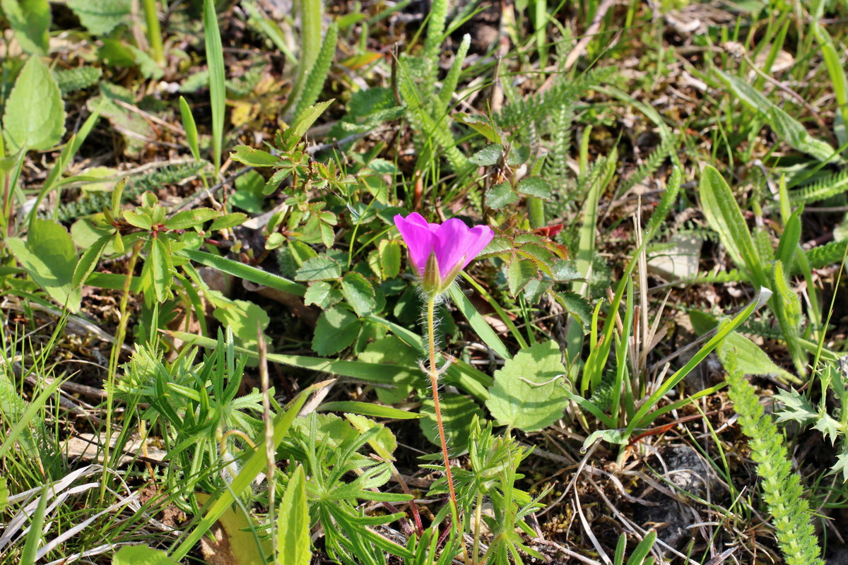 2014_05_05_00042152p_Bildgr��e �ndern