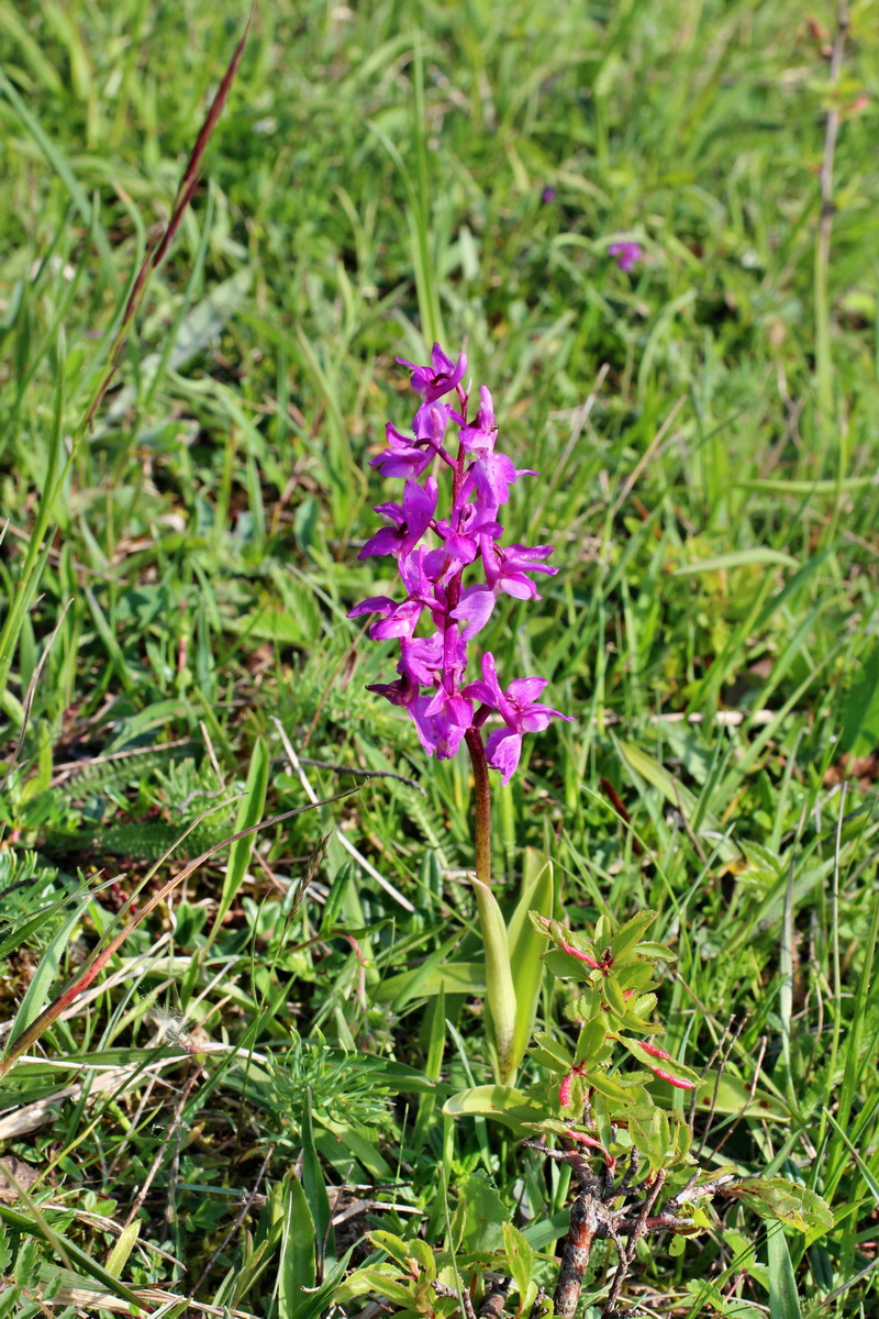 2014_05_05_00042154p_Bildgr��e �ndern