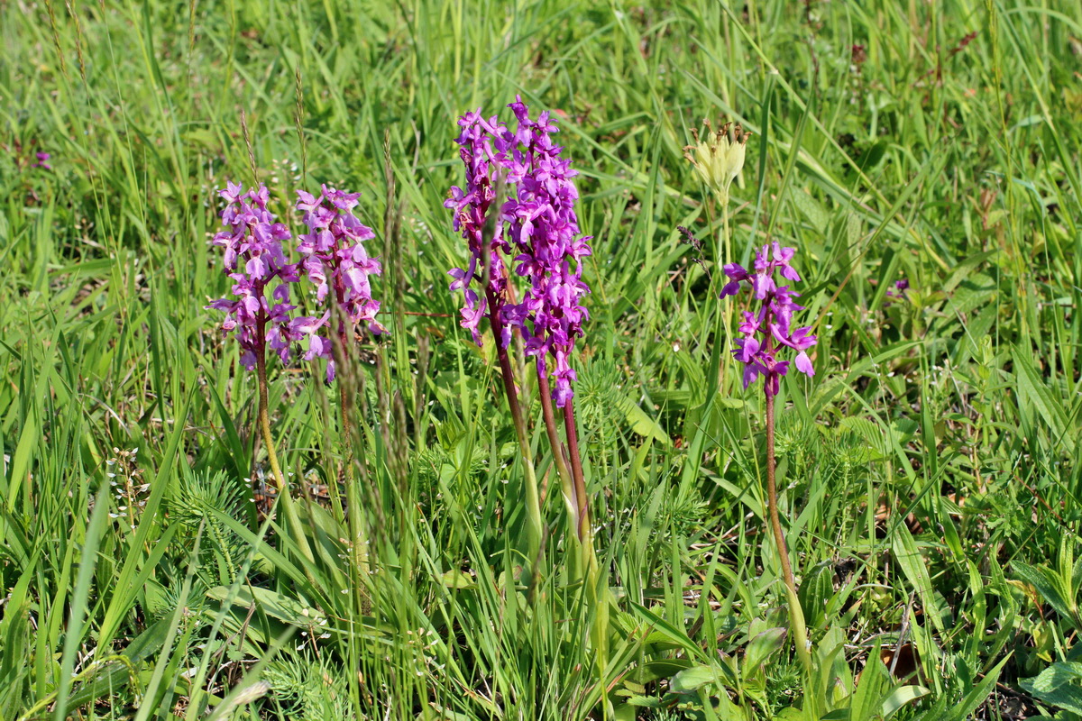 2014_05_05_00042156p_Bildgr��e �ndern