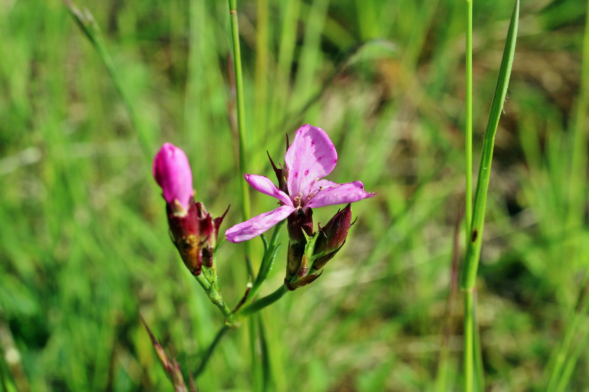 2014_05_05_00042165p_Bildgr��e �ndern