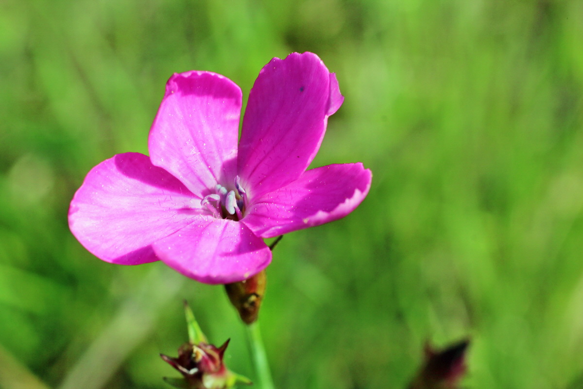 2014_05_05_00042170p_Bildgr��e �ndern