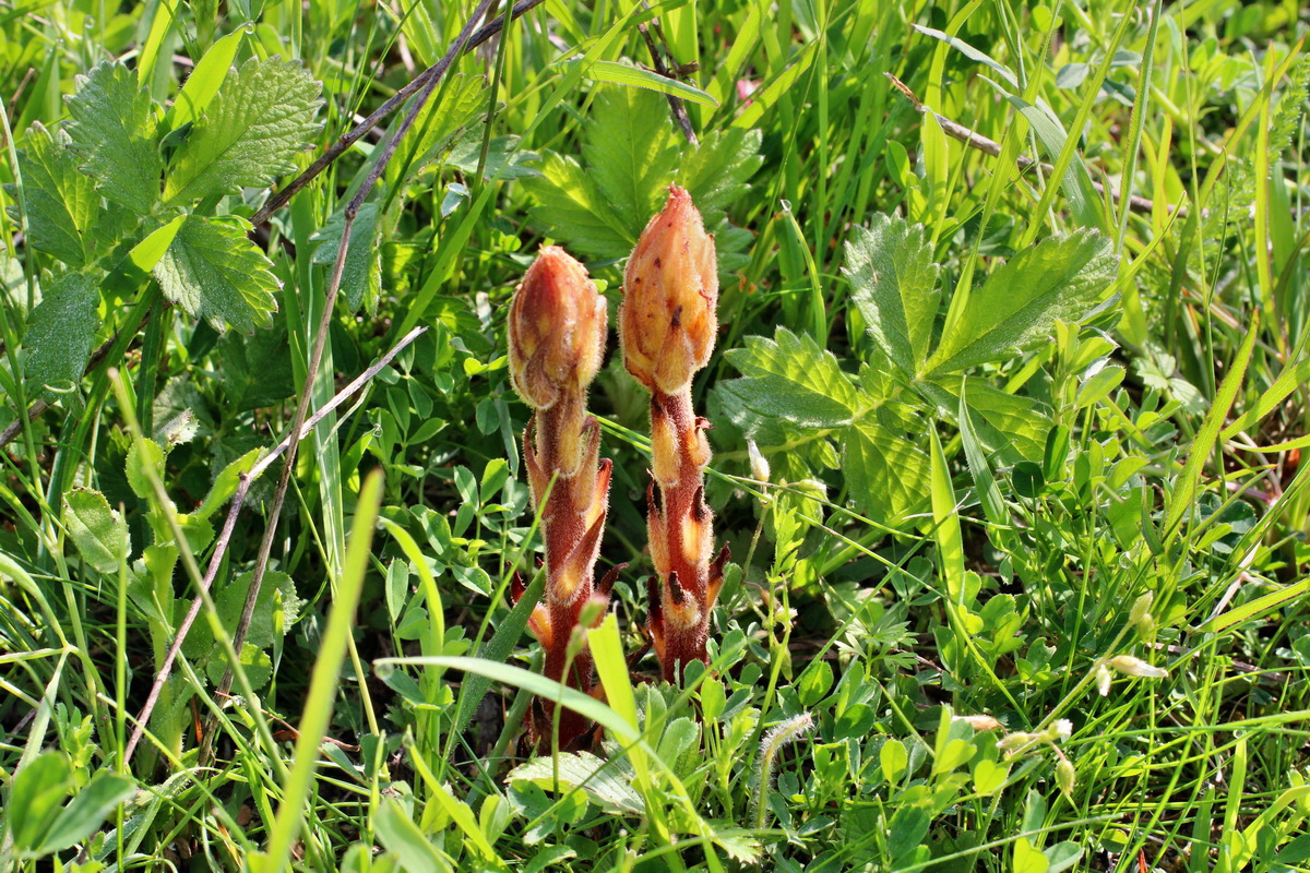 2014_05_05_00042173p_Bildgr��e �ndern