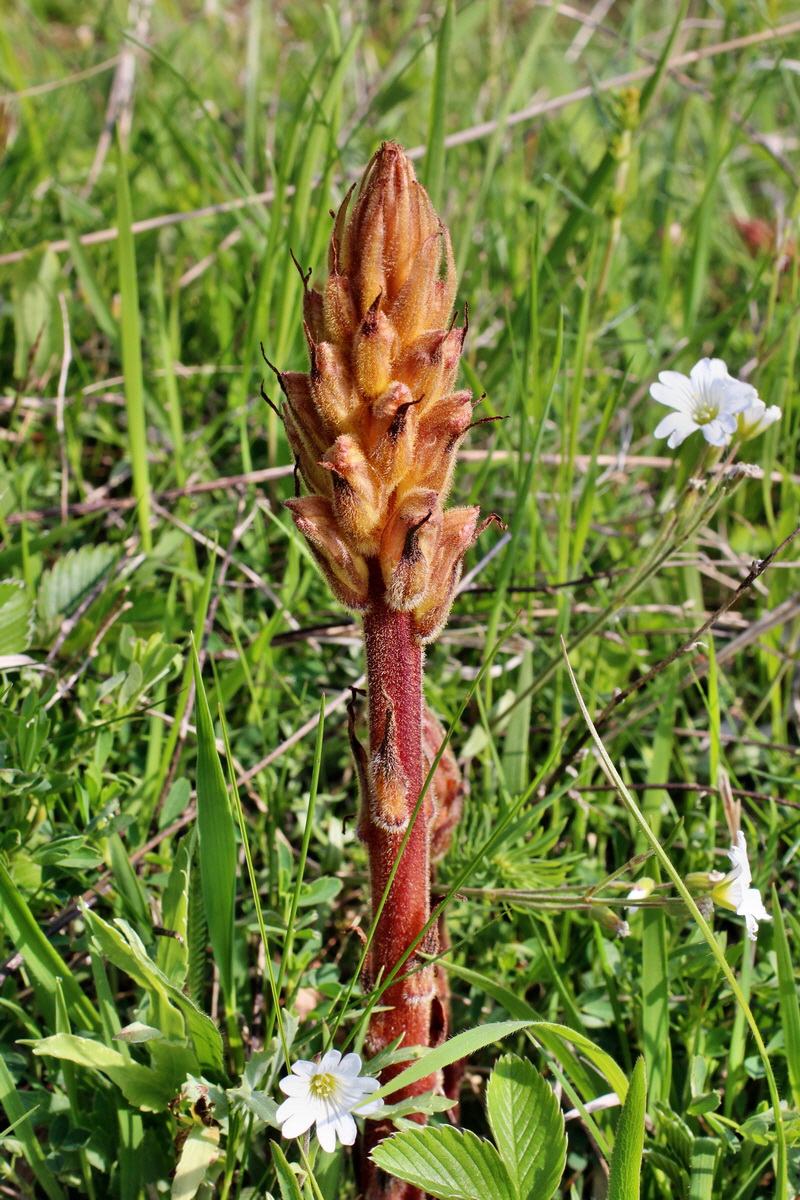 2014_05_05_00042174p_Bildgr��e �ndern