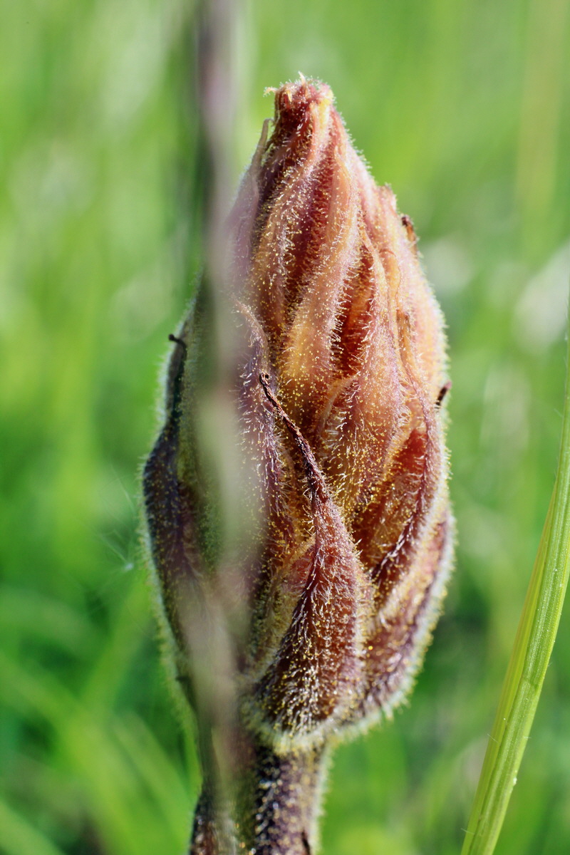 2014_05_05_00042181p_Bildgr��e �ndern