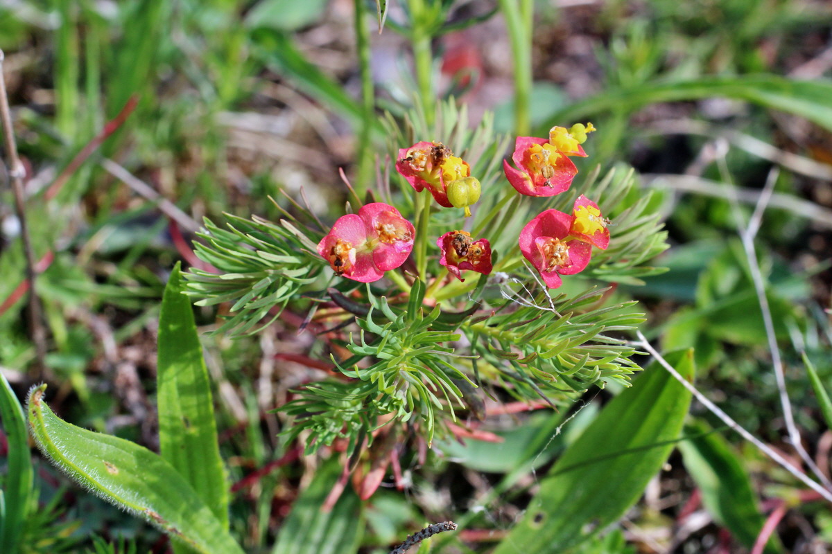 2014_05_05_00042185p_Bildgr��e �ndern